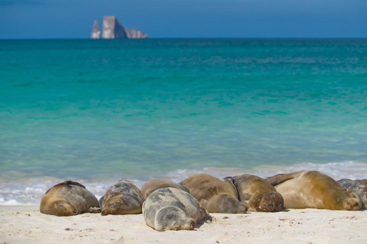 Suite Cielo, Discover The Magic Of Galapagos Puerto Baquerizo Moreno Exterior photo